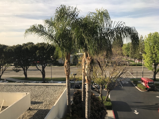 客室窓からの景色