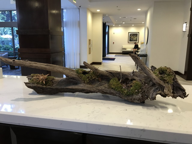 フロントデコレーション