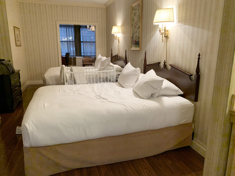 客室全体(入口方向)