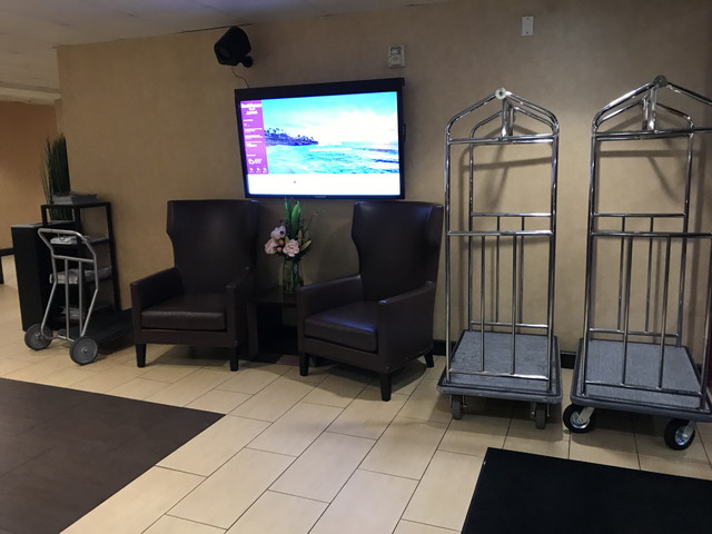 フロントカウンター付近