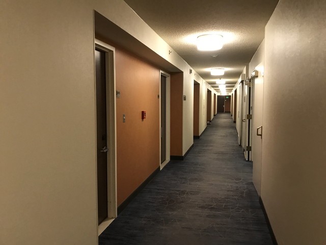 客室ドア付近(1)