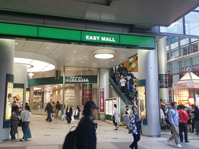 周辺のお店_マークシティ