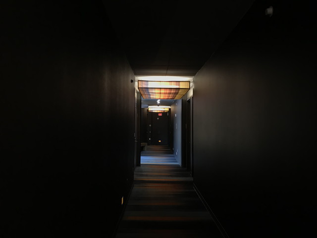 客室付近廊下 かなりダウンライト