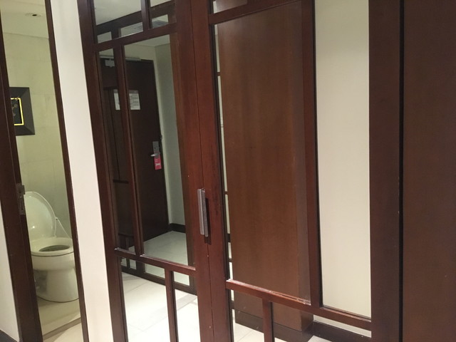 クローゼット外観(閉じた状態)