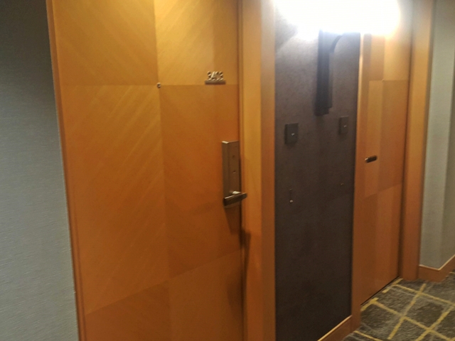客室入口外観ドア