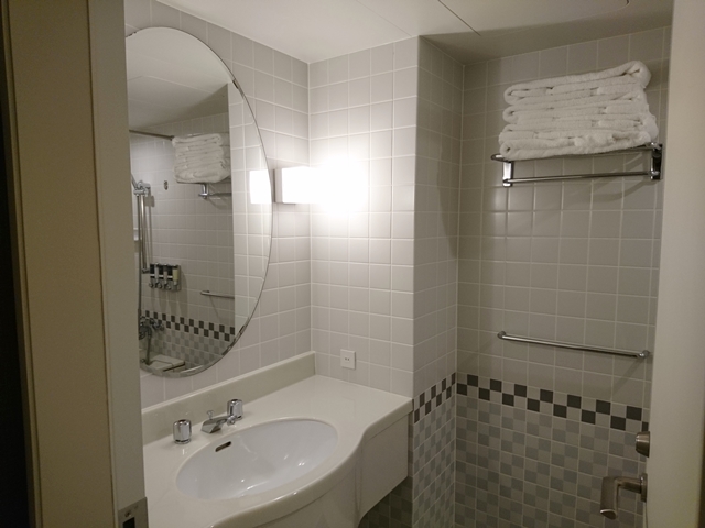 バスルーム内の洗面台全体JPG