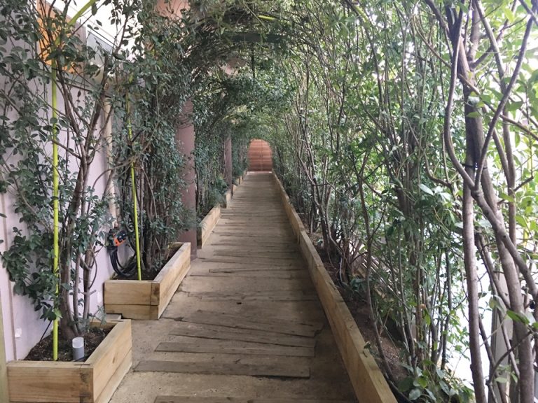 森の空中基地くすくすまでの道