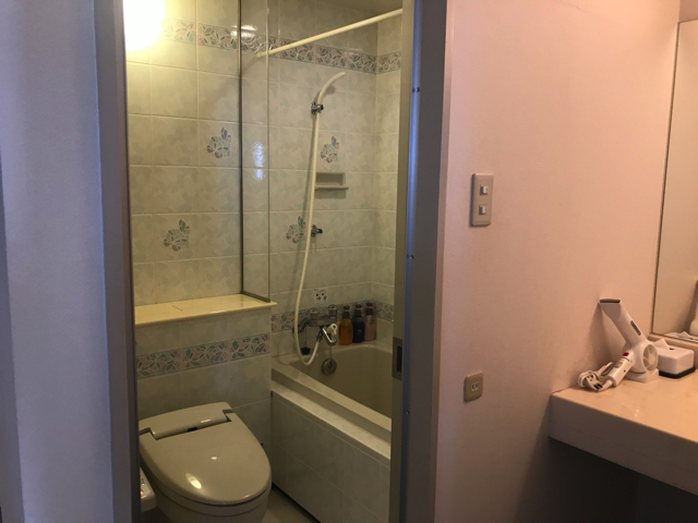 バスルーム入口から全体