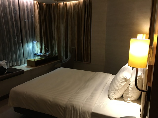 客室全体(窓際方面).jpg