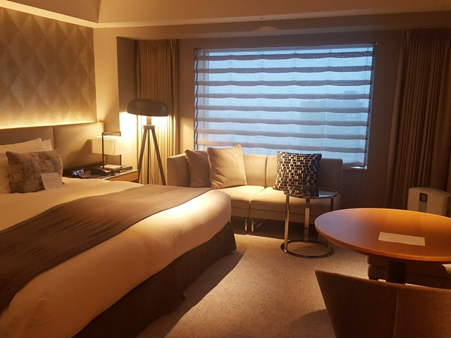 客室全体(窓際方向)_1