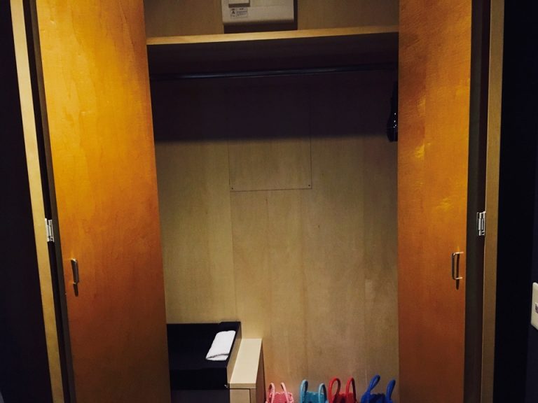 クローゼット外観(開けた状態)