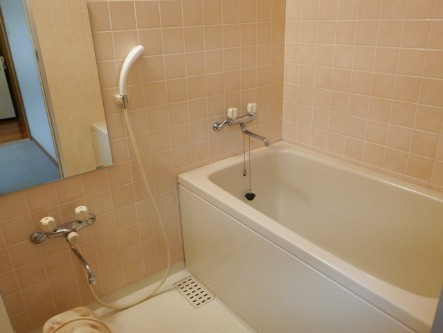 バスルーム入口から全景 copy