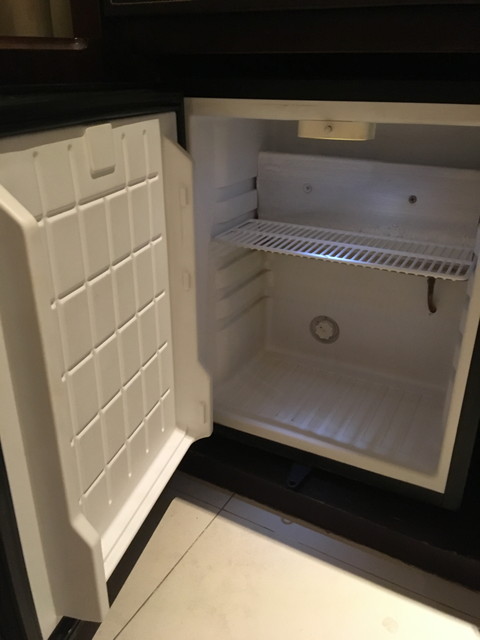 冷蔵庫(開けた状態)