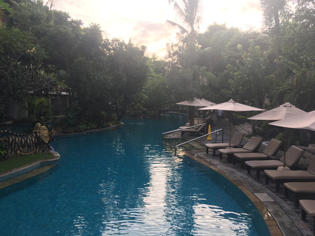 客室付近のプール