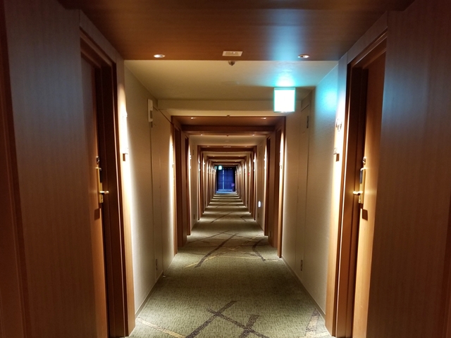 客室廊下全体 3