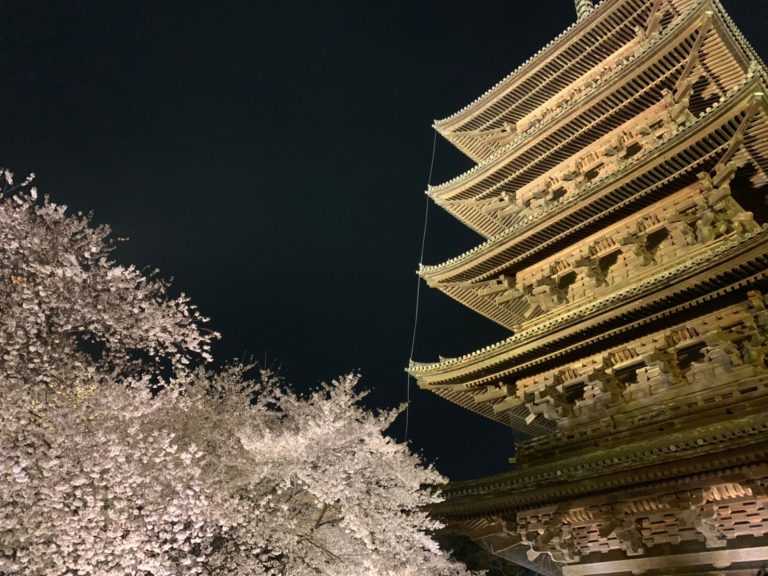 ホテル周辺 東寺