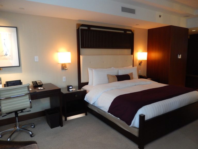 客室全体(入り口方向)