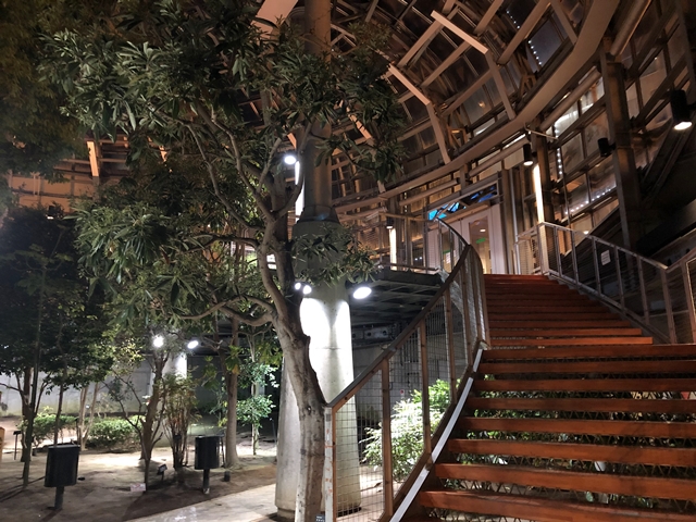 EGG(植物園)中の様子