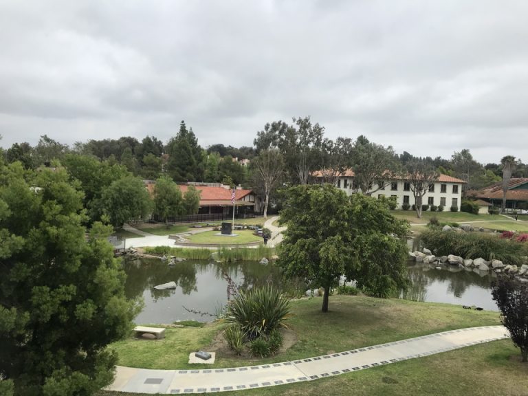 部屋から見たガーデン