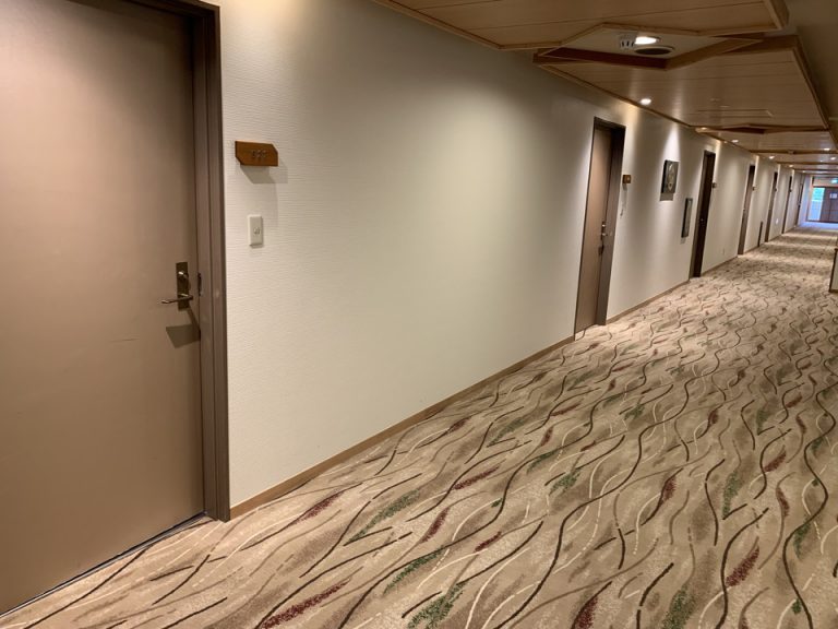 客室入口付近廊下です。