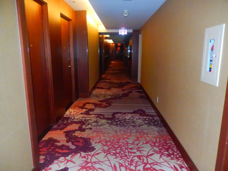 客室入口付近廊下