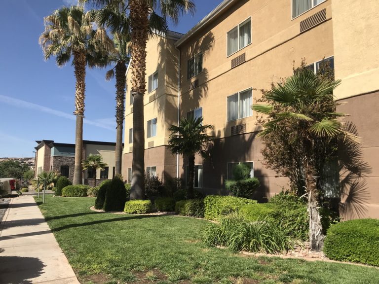 ホテル周辺の木やグリーン