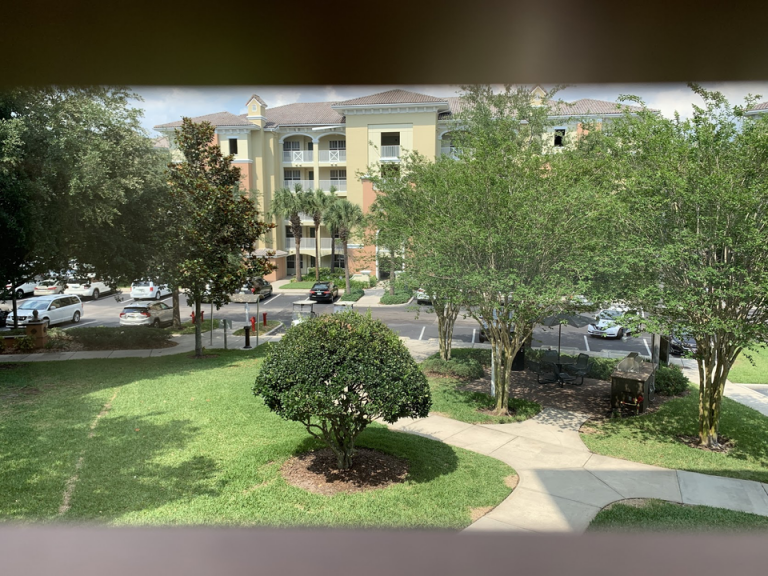 部屋からの眺望