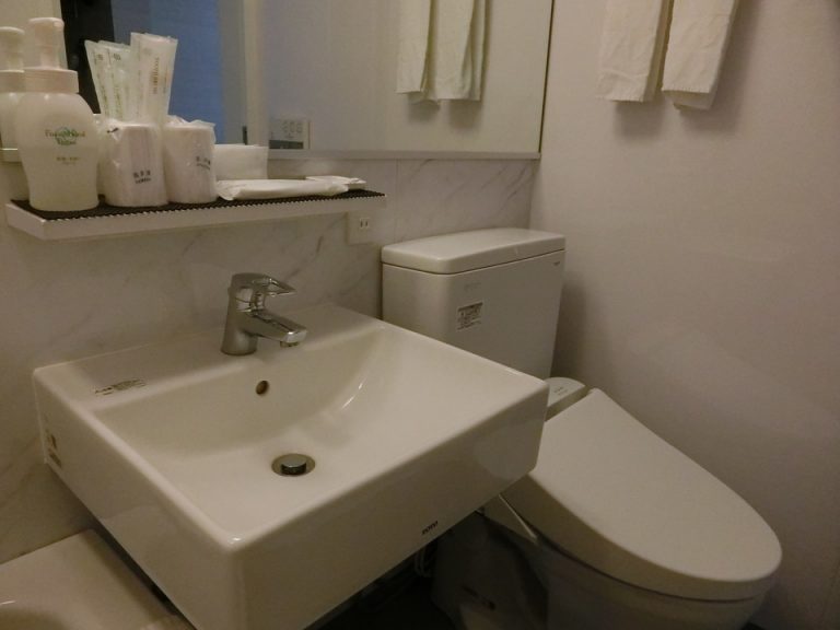 浴槽から見たトイレ側