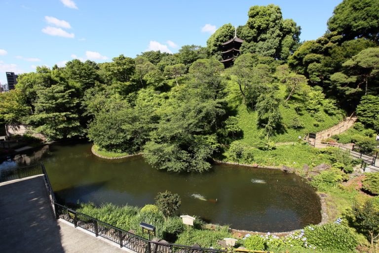 観光スポット(椿山荘のお庭)