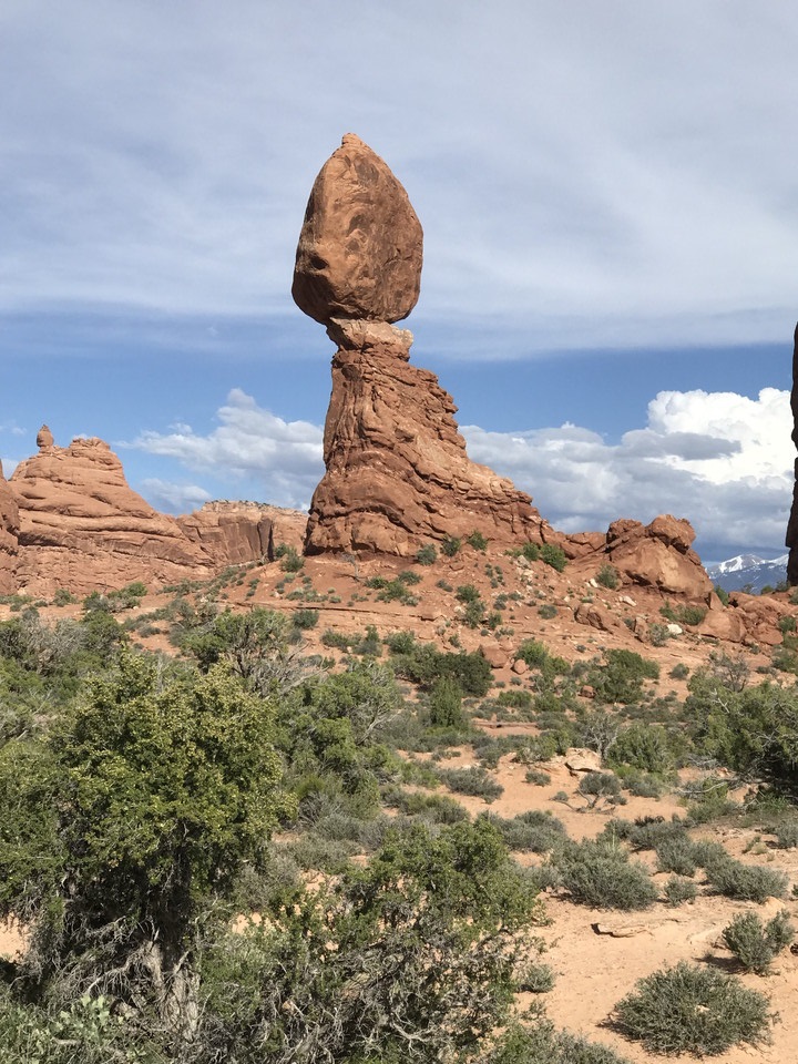 見事にバランスをとっています!