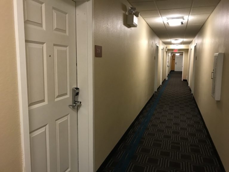 客室扉及び廊下