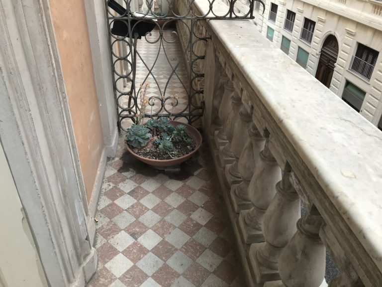 客室 バルコニー