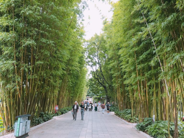 グリーンレイク公園12