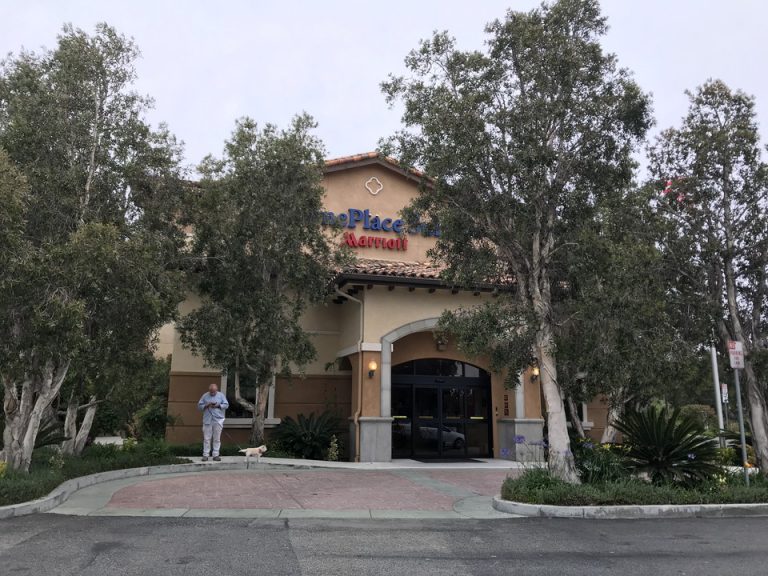 ドッグフレンドリーなホテル