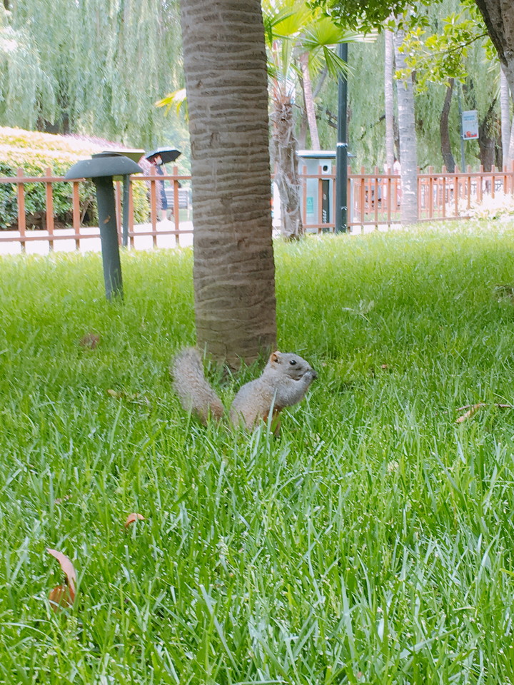 グリーンレイク公園17