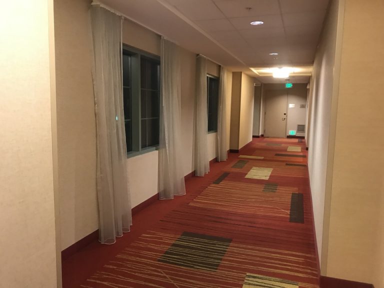 廊下には窓がついている部分もあり中庭が見えました