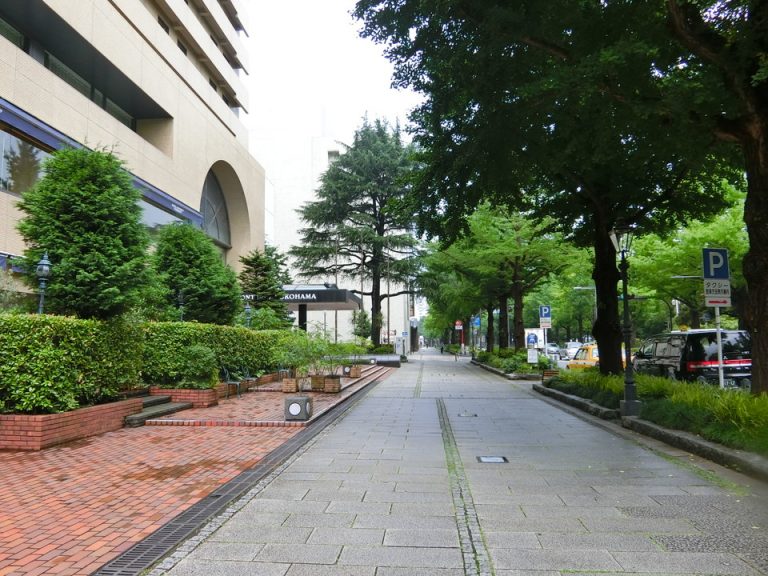 ホテル前の道