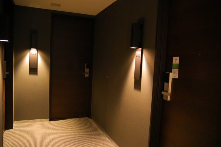 客室入口付近廊下