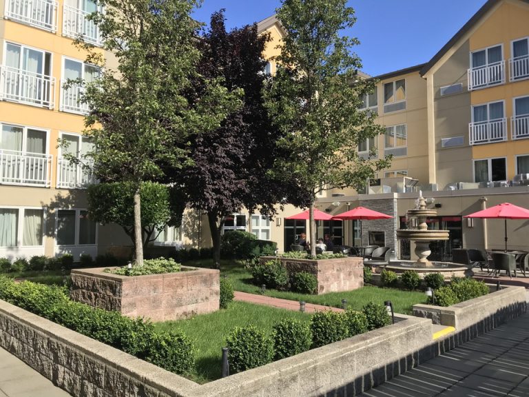 朝のコートヤード