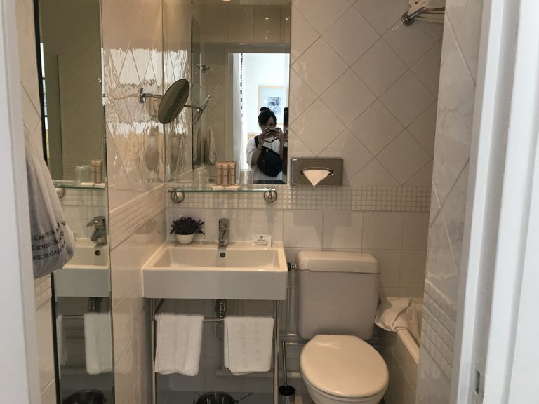 客室 バスルーム全体 (左側の布に入っているのがドライヤー)