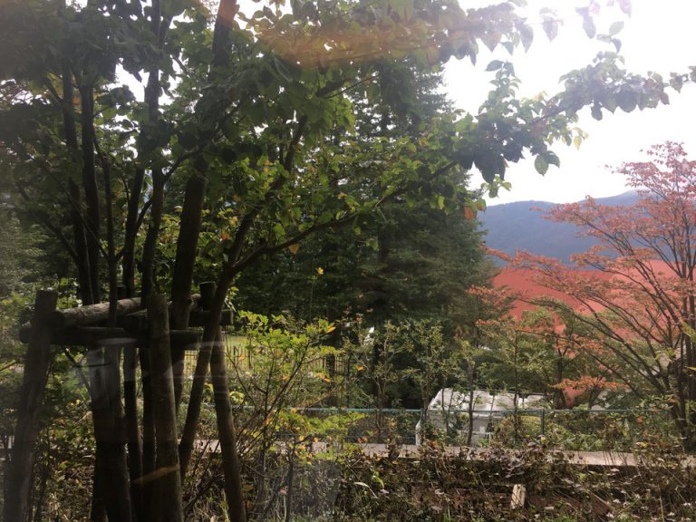 部屋からの眺望