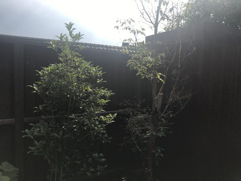 部屋からの眺望