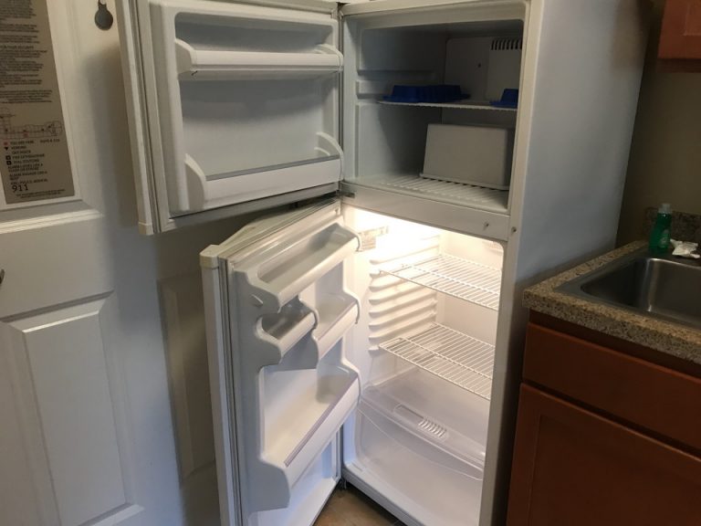 大きすぎるとも言えるアンバランスな冷蔵庫