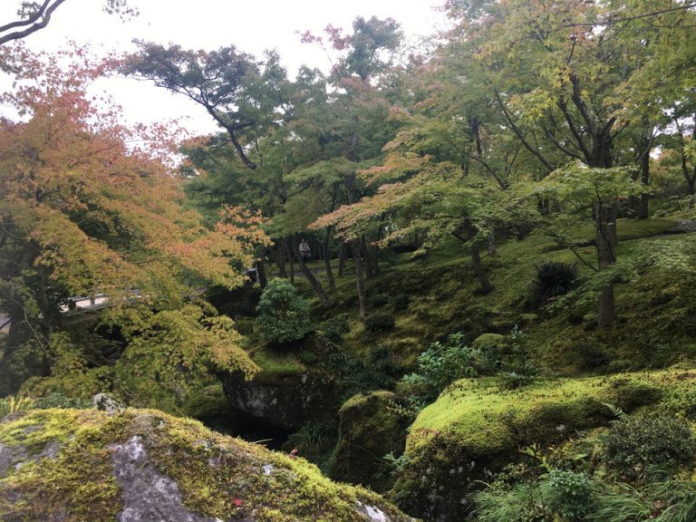 ホテル周辺_箱根美術館