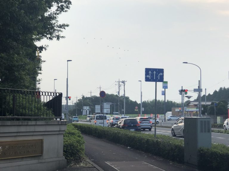 コンビニは道路を渡ってすぐ