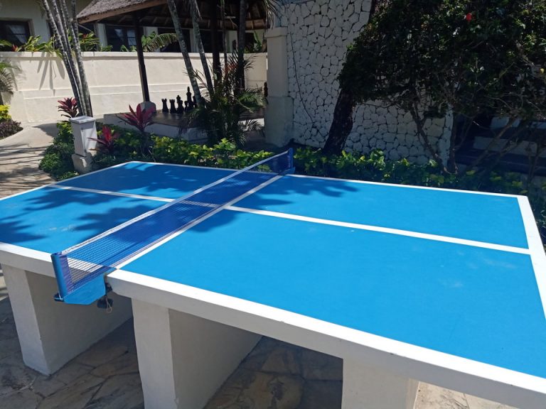 プールサイド(卓球台)