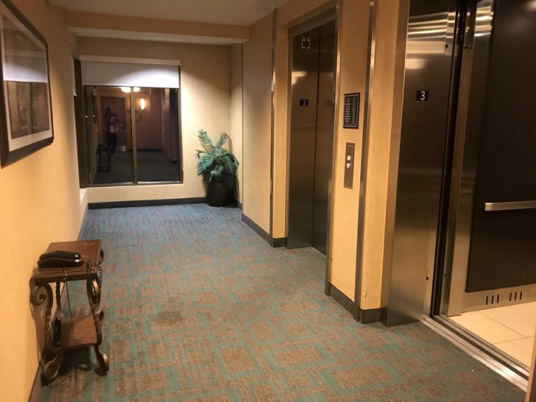 宿泊階エレベーターホール