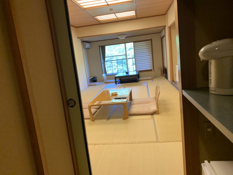 客室全体(入口方向)(1)