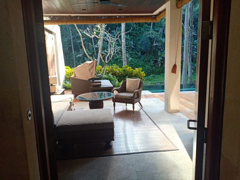 客室(入口から)