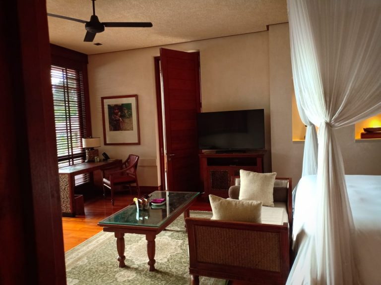 客室(客室から室内入り口の扉)